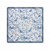 Шаль Clover Toile de Jouy CHRISTIAN DIOR